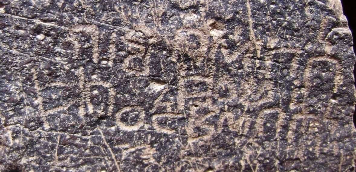 الشرعي ضركام1